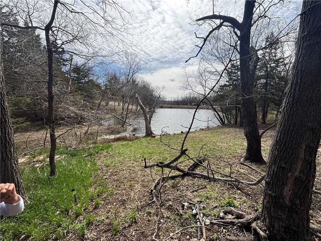 29 Whitetail Drive — photo 5