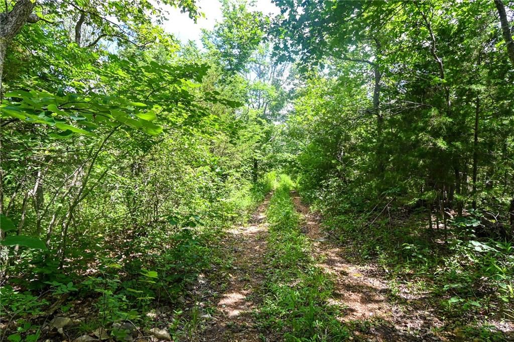 5760 NE 871 Private Road — photo 41