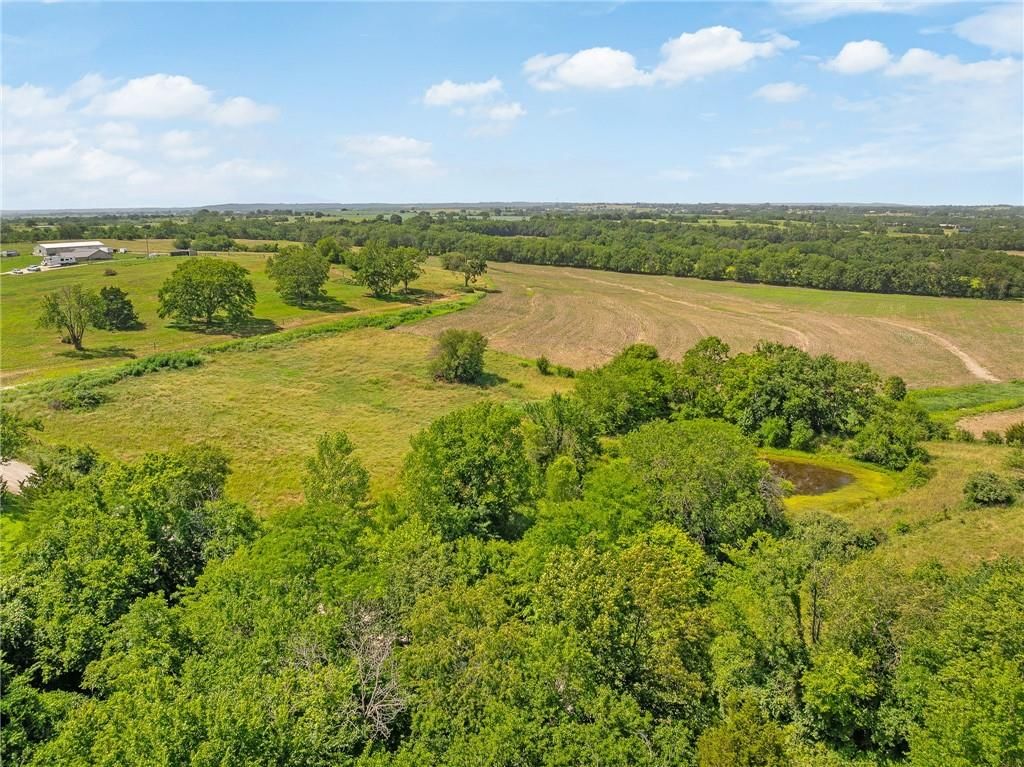 20800 Cantrell Road — photo 4