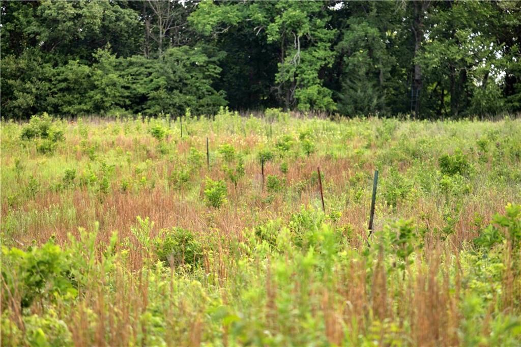 Nw Of Waller Road — photo 19