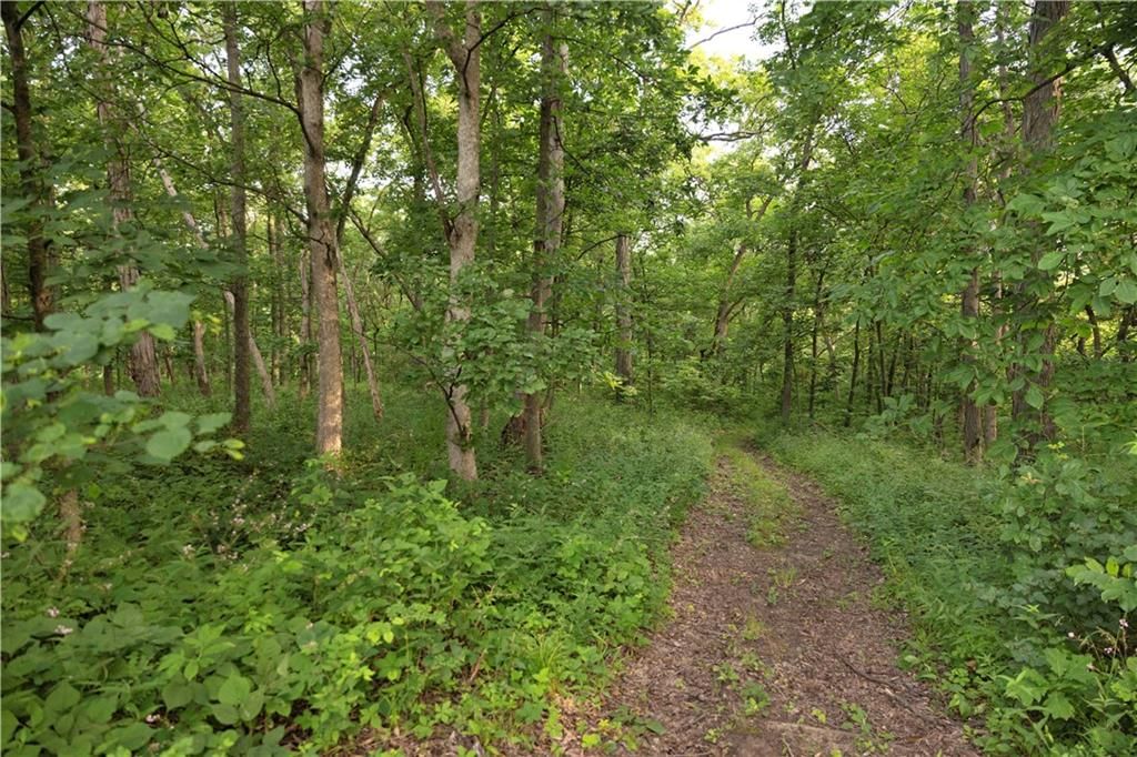 Nw Of Waller Road — photo 22