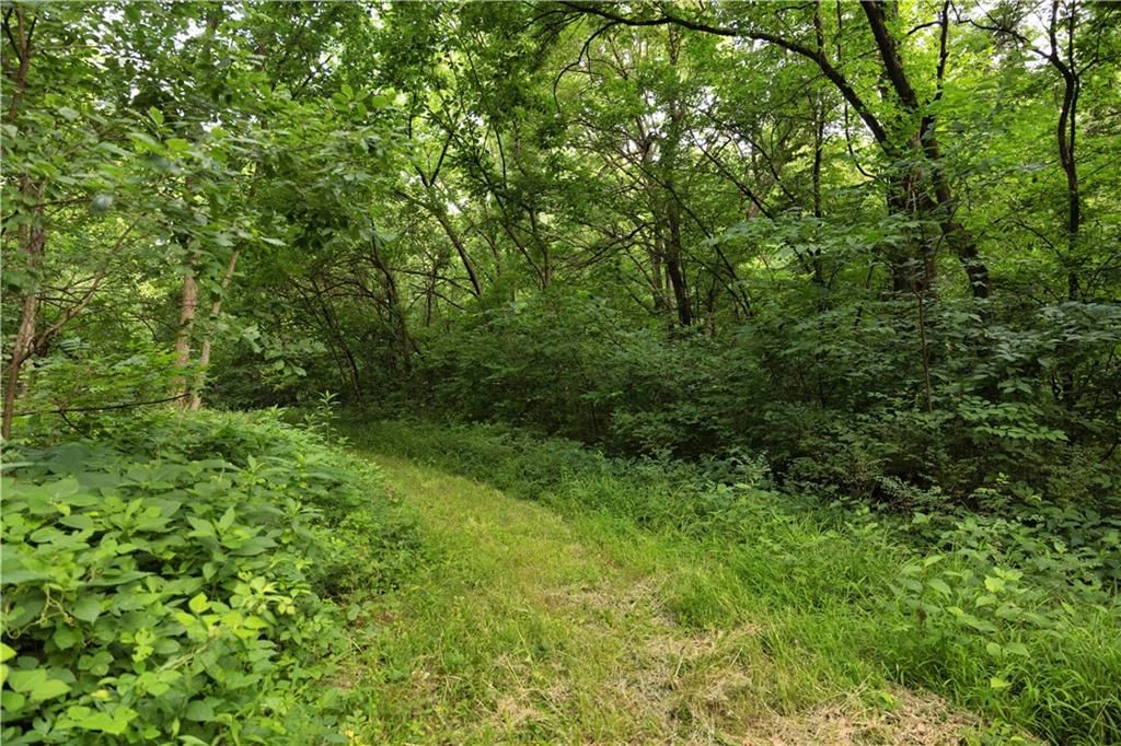 Nw Of Waller Road — photo 25