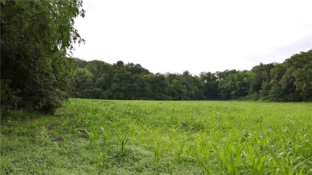 Nw Of Waller Road — photo 31