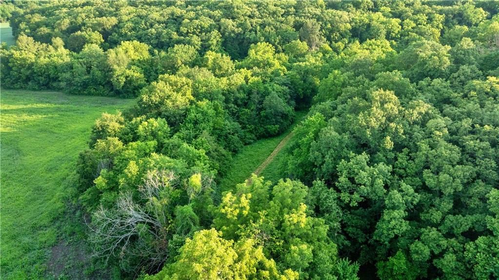 Nw Of Waller Road — photo 43