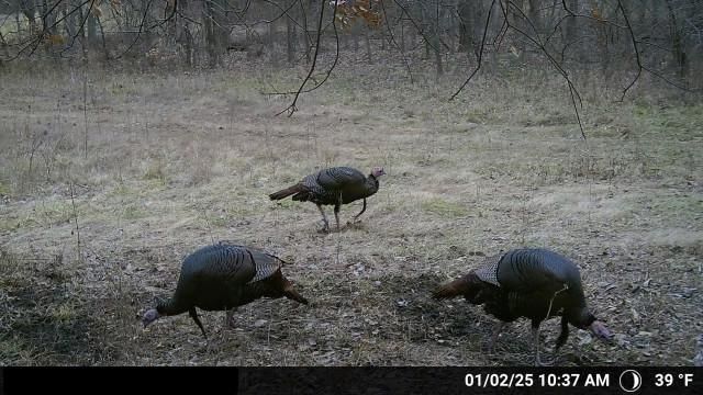 Nw Of Waller Road — photo 61