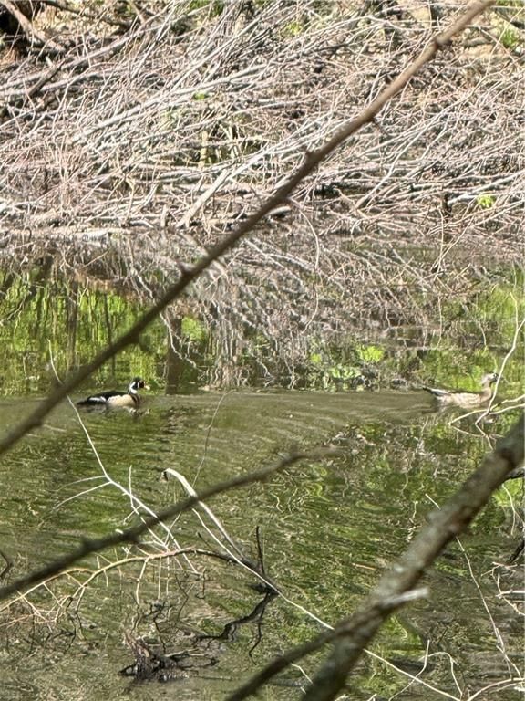 Nw Of Waller Road — photo 63