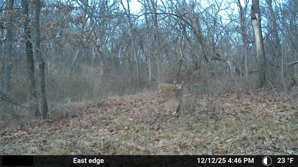 Nw Of Waller Road — photo 71