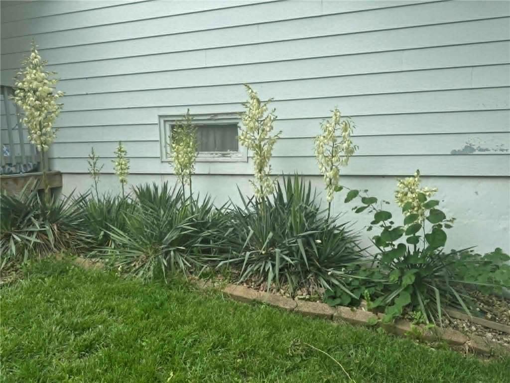 3304 N Delaware Street — photo 23