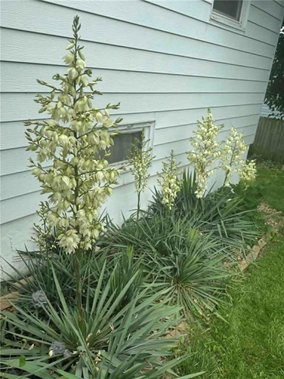 3304 N Delaware Street — photo 24