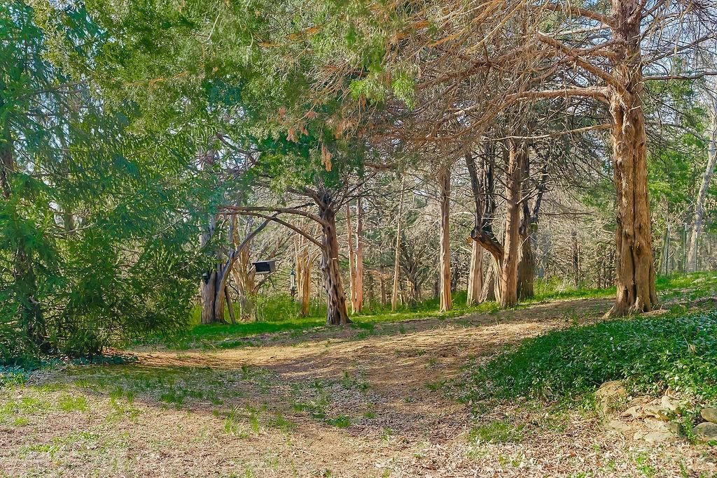 14850 Oak Valley Drive — photo 52