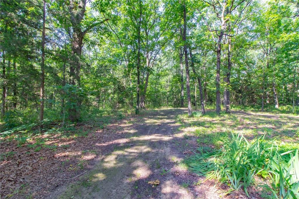 28418 Acorn Drive — photo 33
