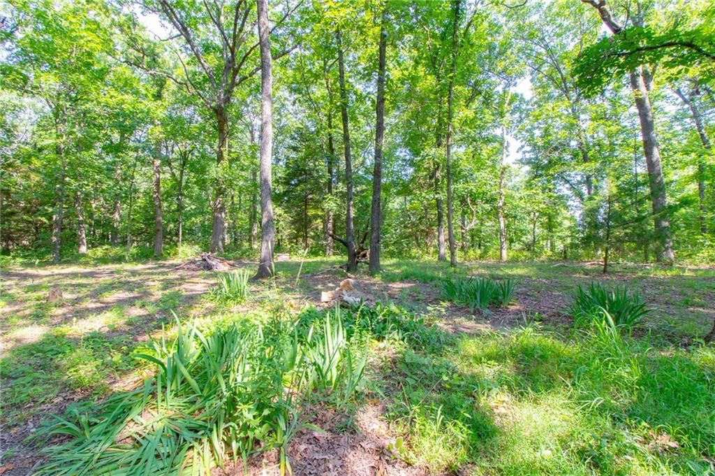 28418 Acorn Drive — photo 34