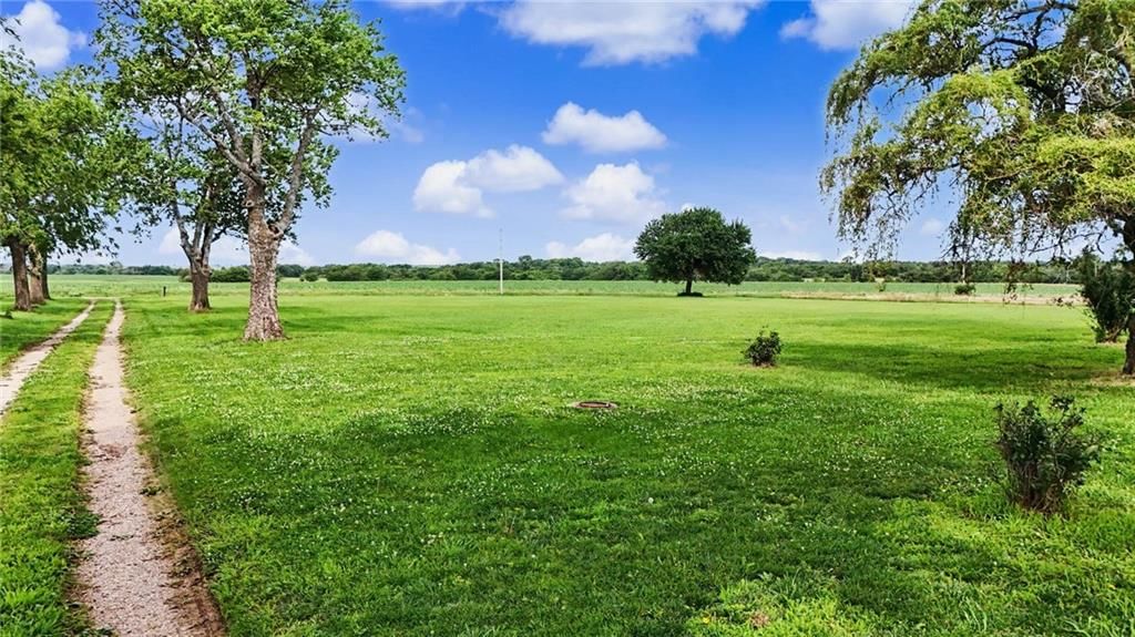 15496 Norton Road — photo 47