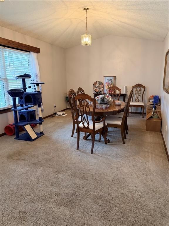 804 BIRCHWOOD Circle — photo 5