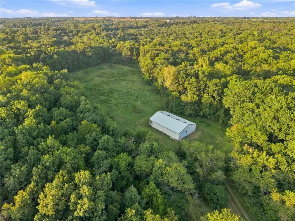 17052 Dempsey Road — photo 40
