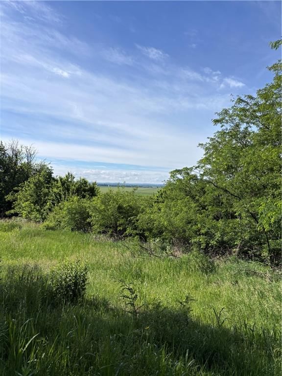 1420 Treece Road — photo 8