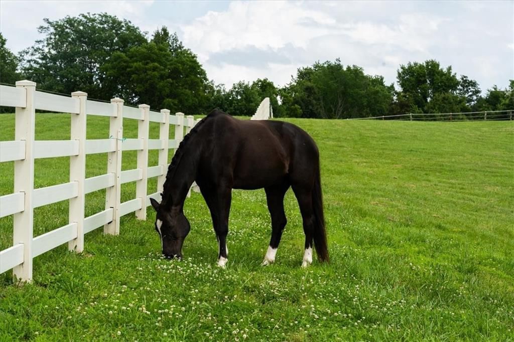 Lot 2 Bridle Parc Lane — photo 2