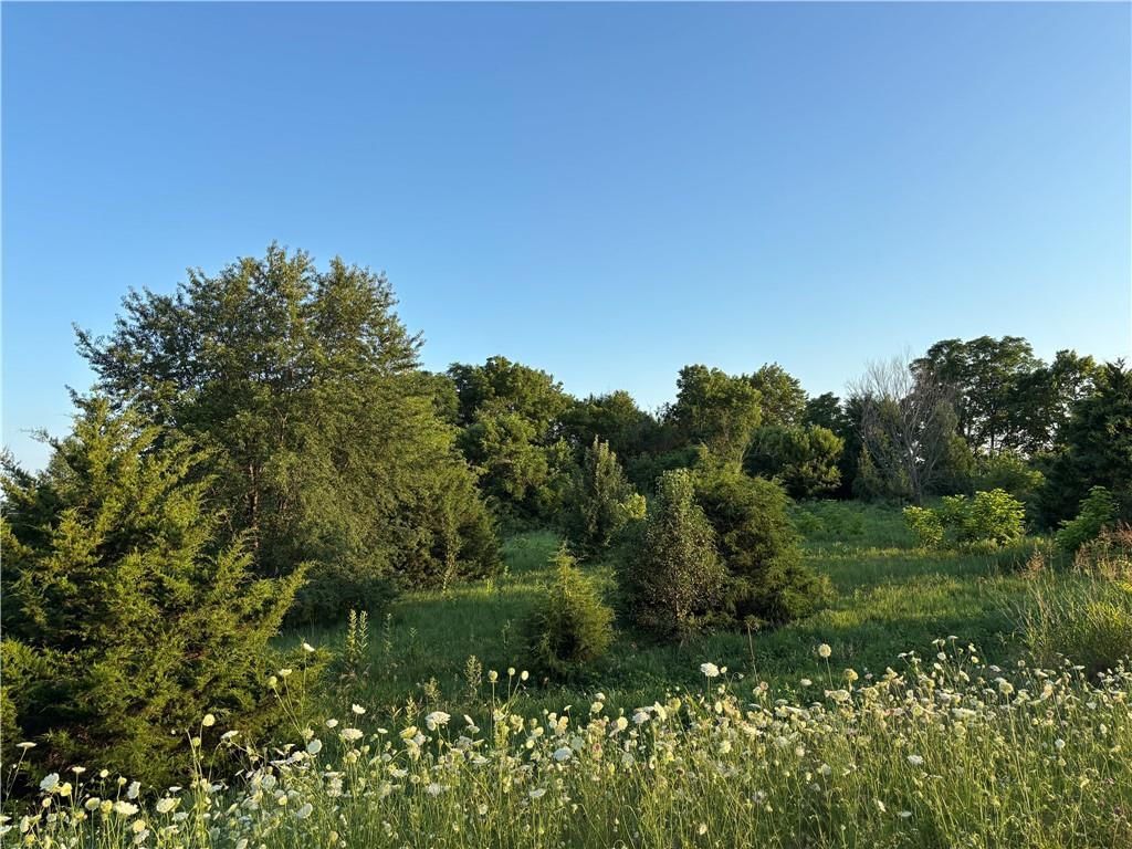 27865 New Lancaster Road — photo 10