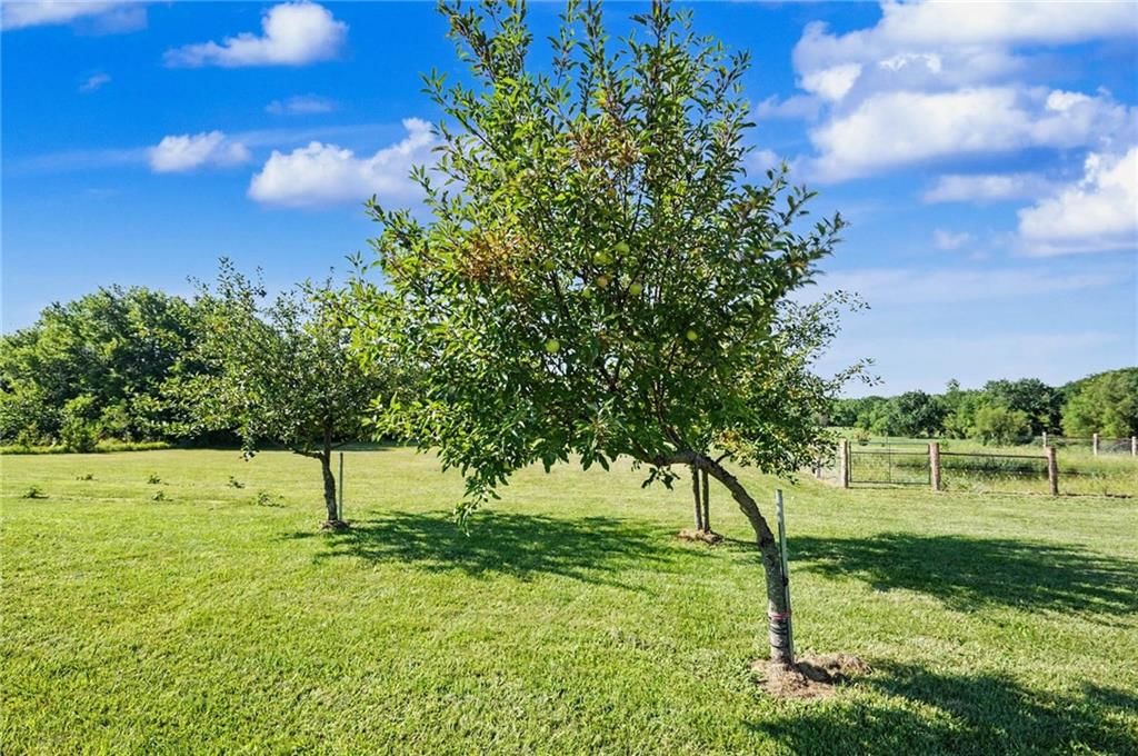 3762 Thomas Rd Thomas Road — photo 41