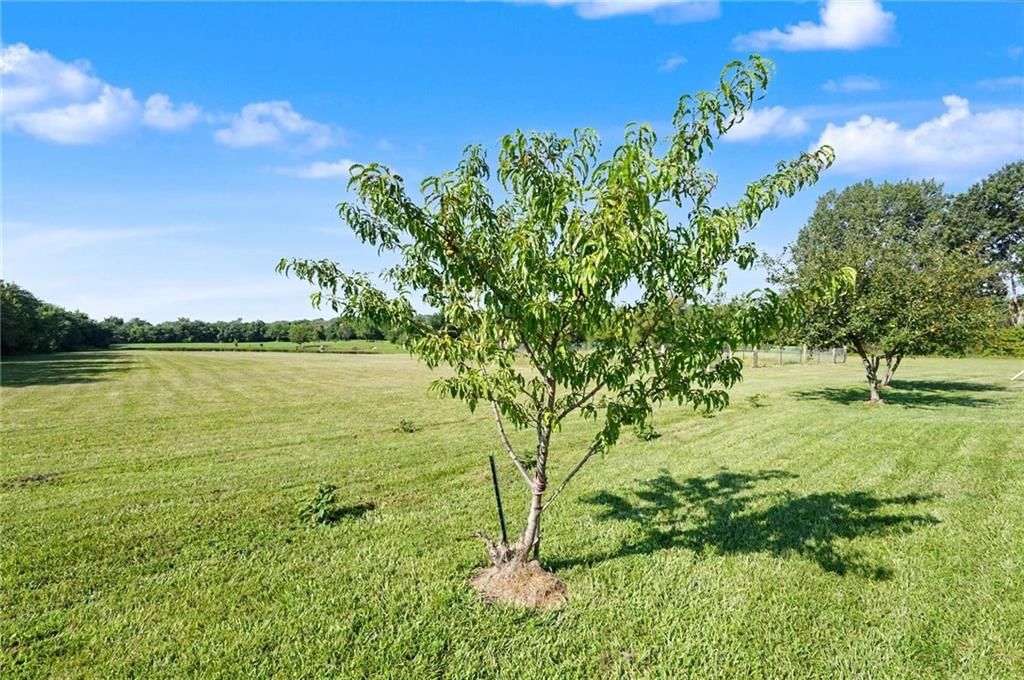3762 Thomas Rd Thomas Road — photo 47