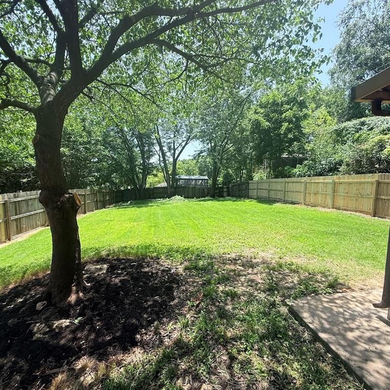 709 Elm Street — photo 4