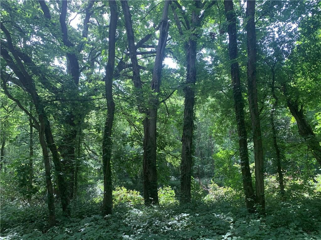 00000 Faucett Road — photo 15