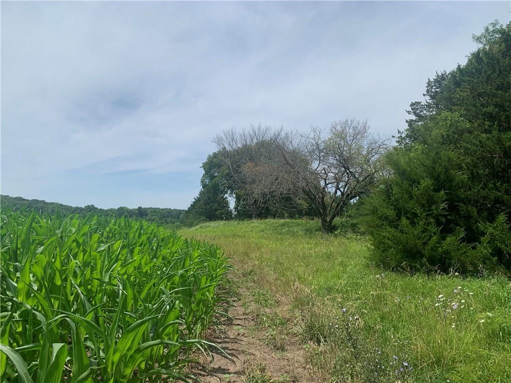 00000 Faucett Road — photo 21