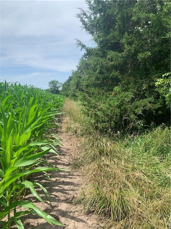 00000 Faucett Road — photo 25