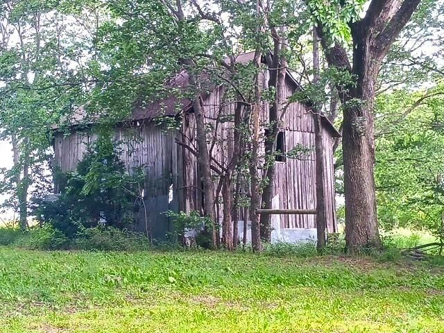 1033 E 1800 Road — photo 47