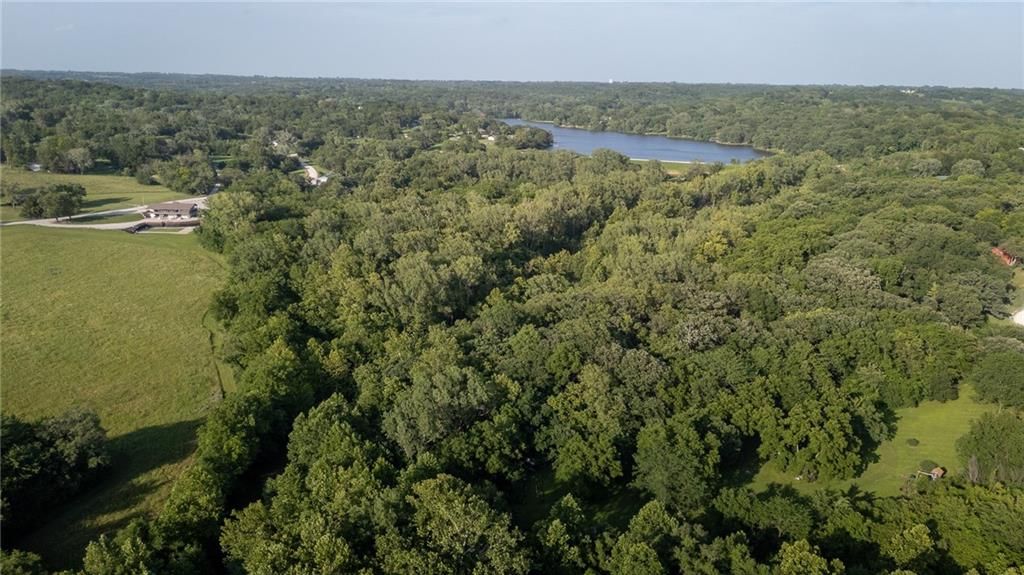 14599 RIDGEVIEW Drive — photo 42