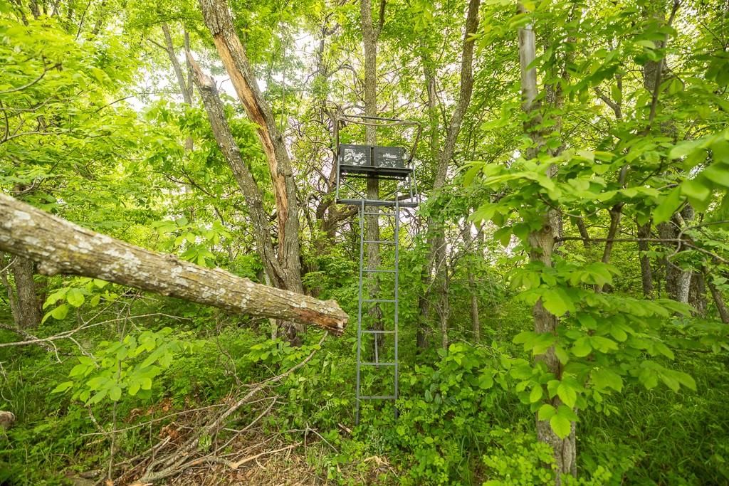 Tract A NE 900th Road — photo 34