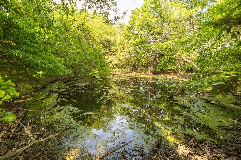 Tract A NE 900th Road — photo 40