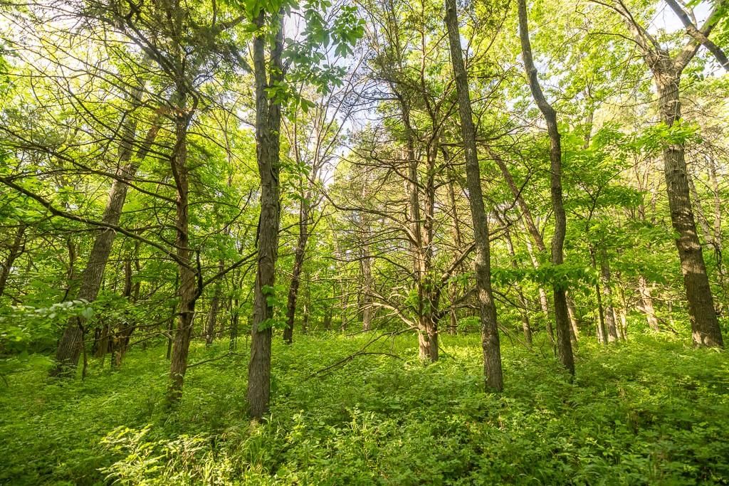Tract A NE 900th Road — photo 41