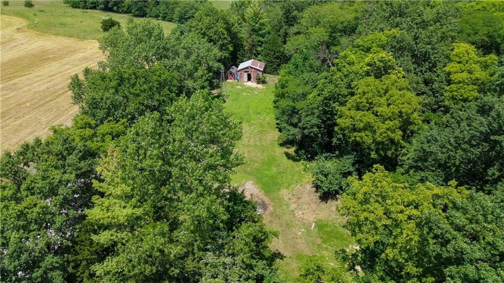 12550 drift Avenue — photo 45