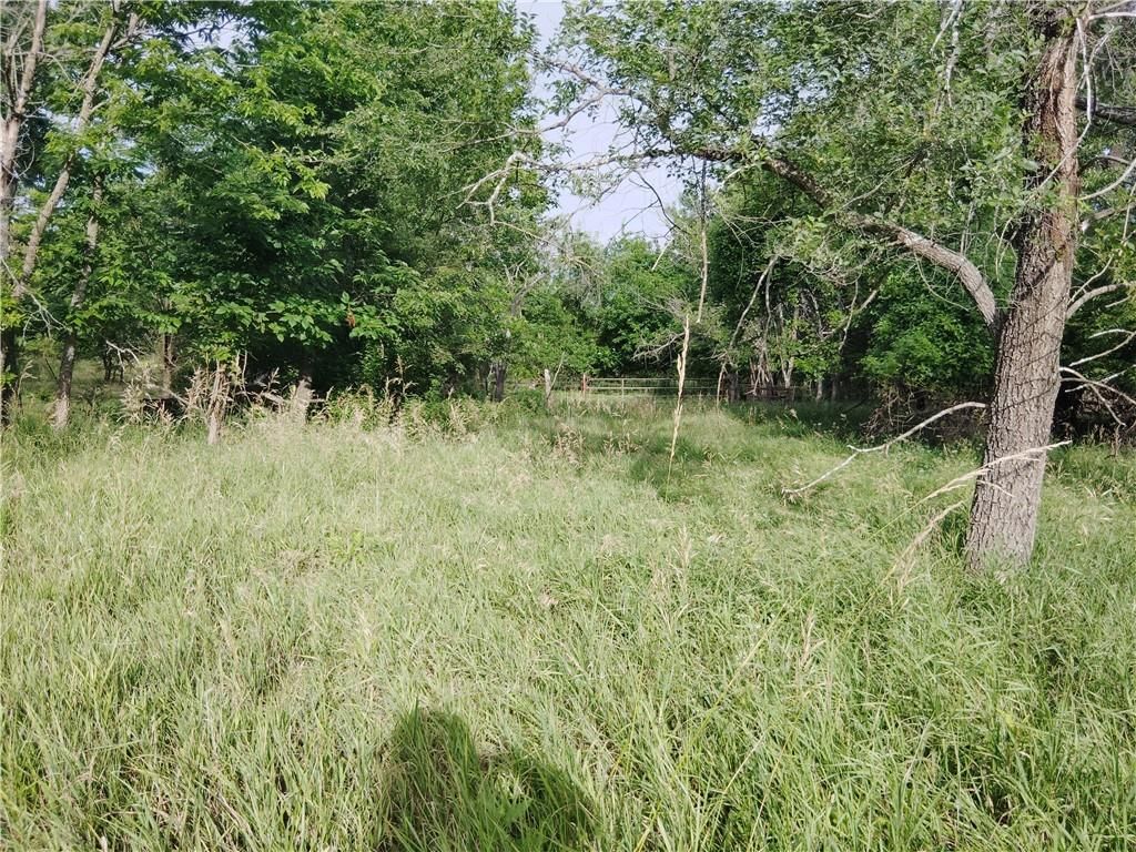 30218 Maple Grove Road — photo 5