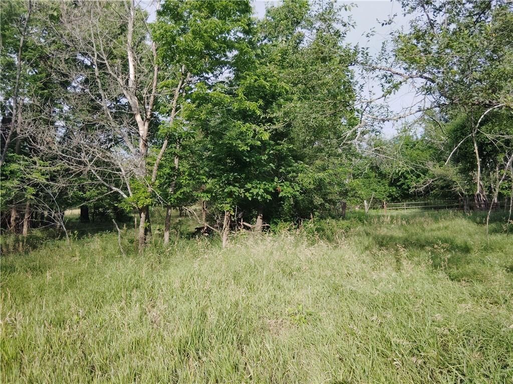 30218 Maple Grove Road — photo 9