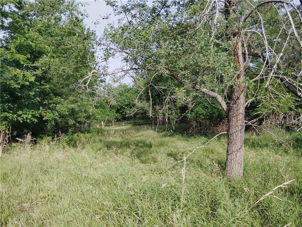 30218 Maple Grove Road — photo 10