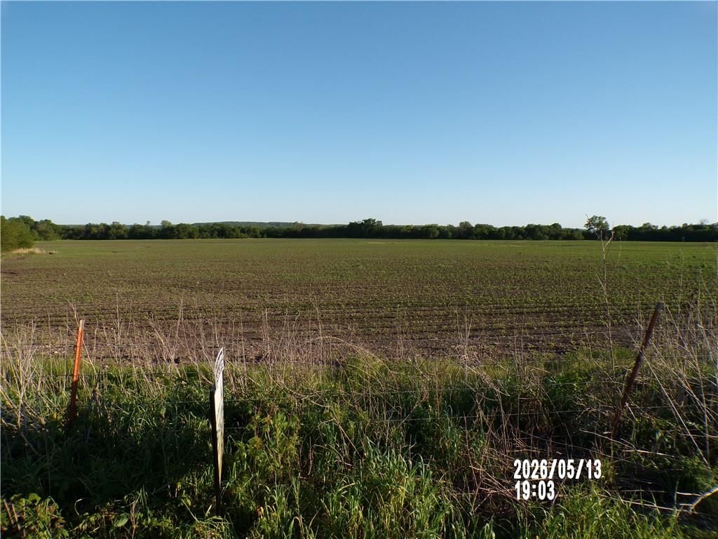 1076 Xavier Road — photo 6