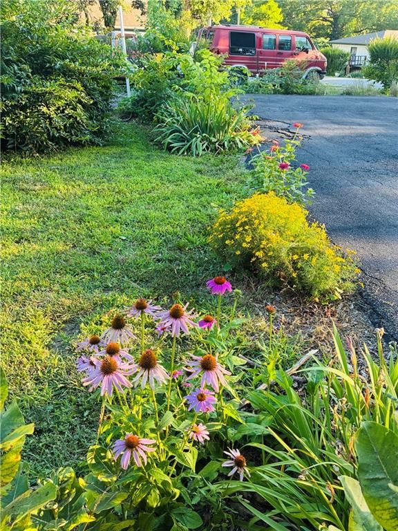 4641 N Elmwood Avenue — photo 17