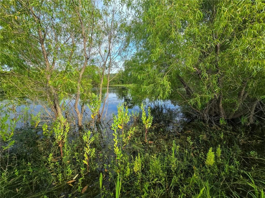 K Avenue — photo 18