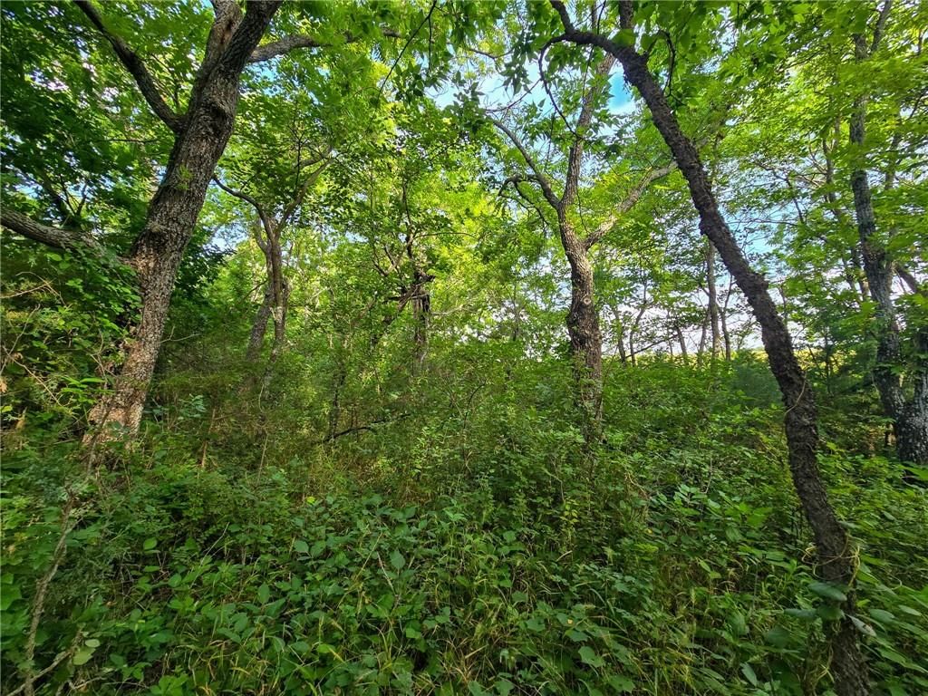 K Avenue — photo 25