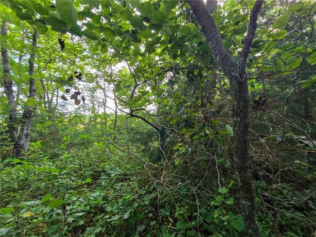 K Avenue — photo 26