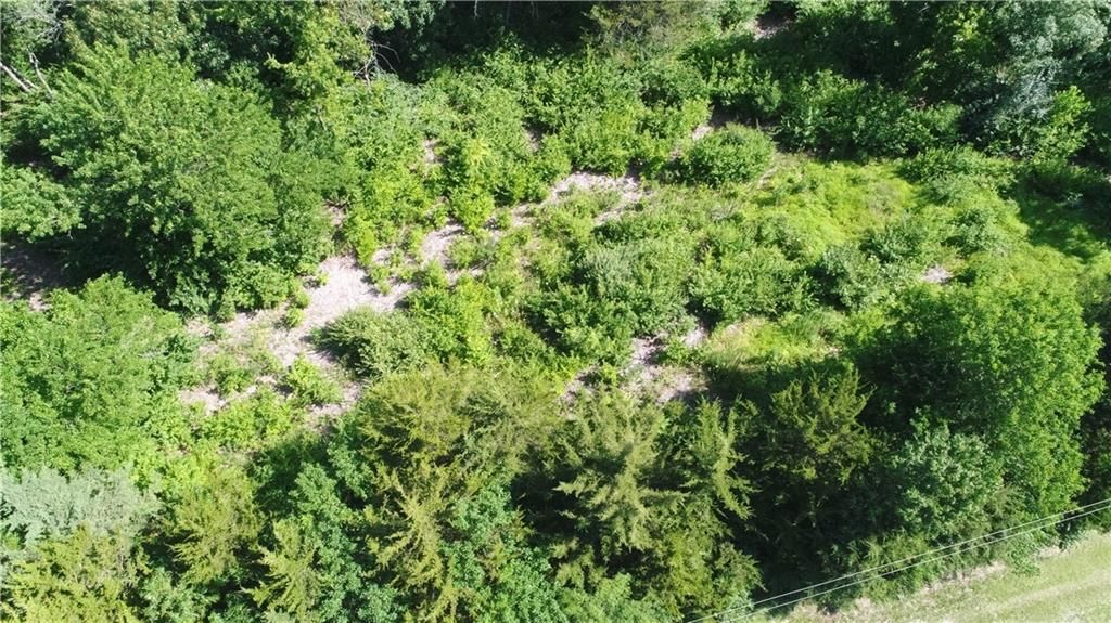 00000 Springdale Road — photo 4