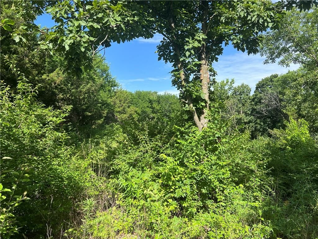 00000 Springdale Road — photo 10