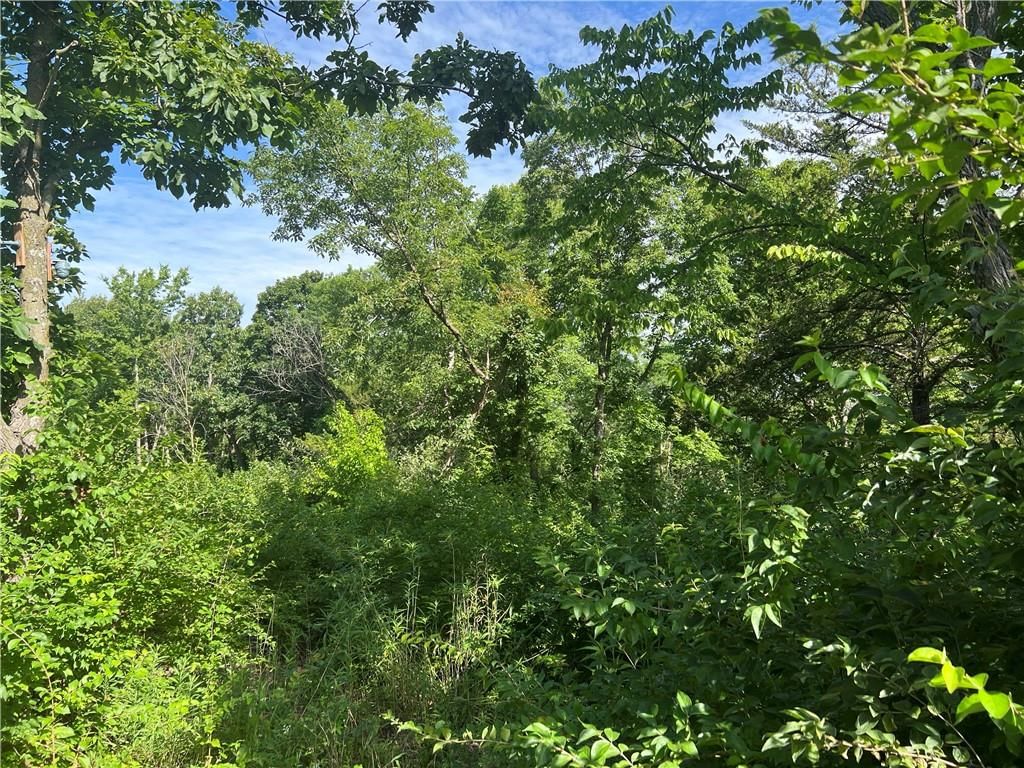 00000 Springdale Road — photo 11