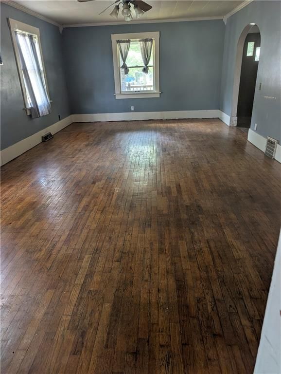 213 George Street — photo 4