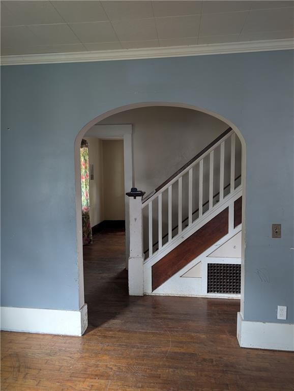 213 George Street — photo 5