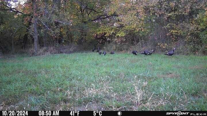 400 NW 1601st Road Road — photo 3