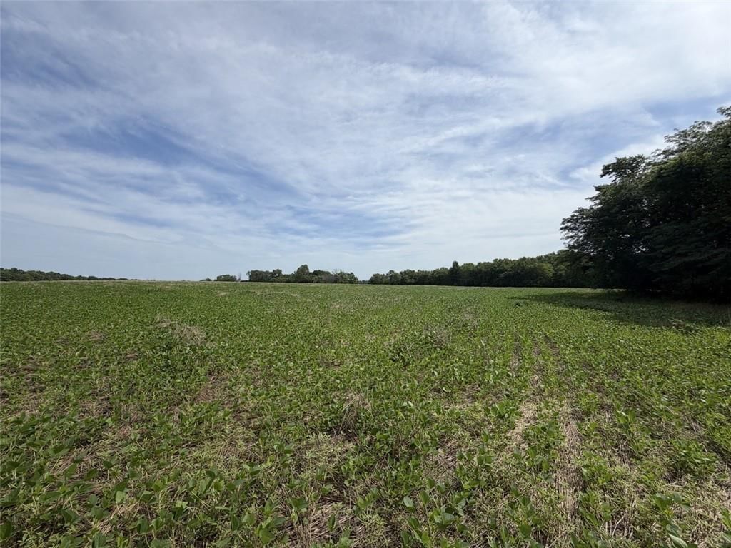 56 HWY & County Line Rd. — photo 1