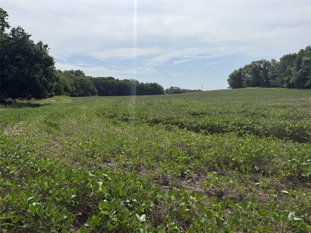 56 HWY & County Line Rd. — photo 2